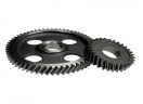 Injection molding - High precision plastic injection molding pom Nylon worm gears 